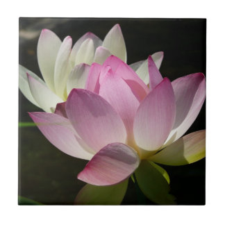 Pair of Lotus Flowers II Tile