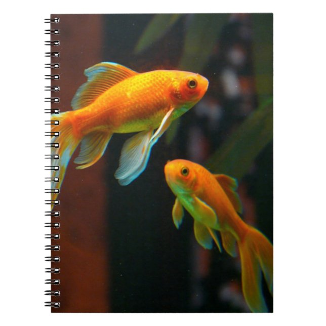 Pair of Lucky Goldfish Spiral Notebook (Front)