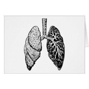 pair of lungs