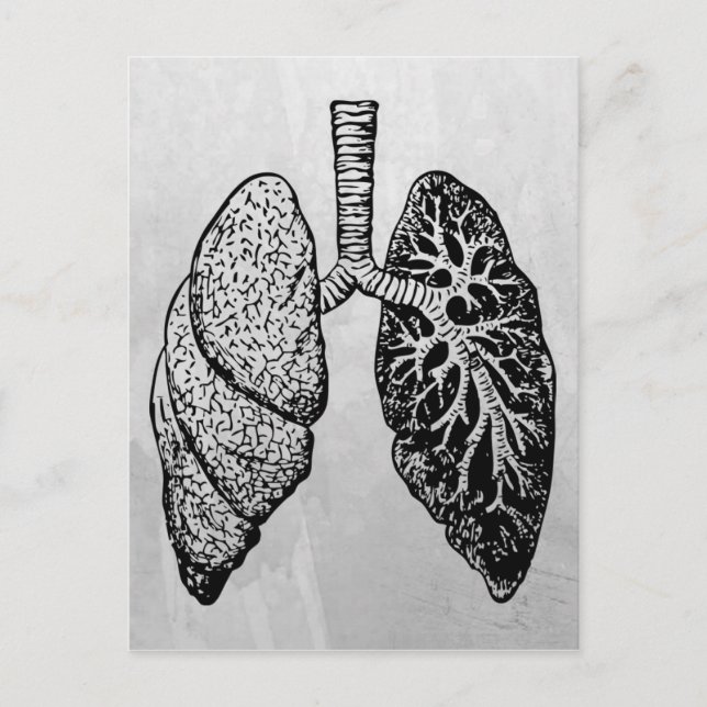 pair of lungs postcard (Front)