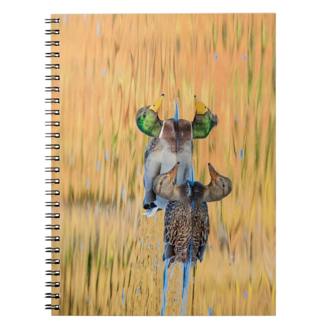 Pair of Mallards Spiral Notebook (Front)