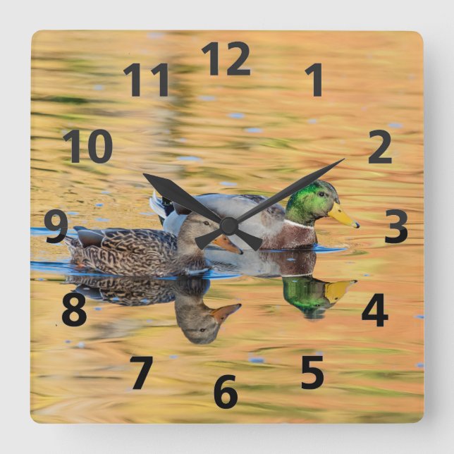 Pair of Mallards Square Wall Clock (Front)