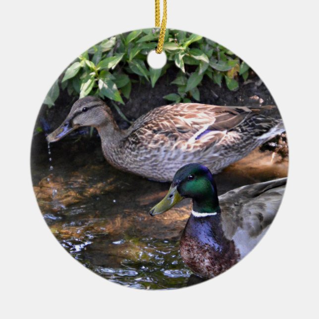 Pair of Mated Mallard Ducks Ceramic Tree Decoration (Front)