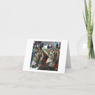 Pair of mules in harness card