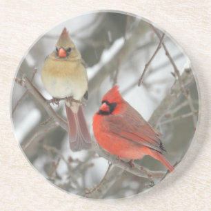Pair Of Northern Cardinals Coaster