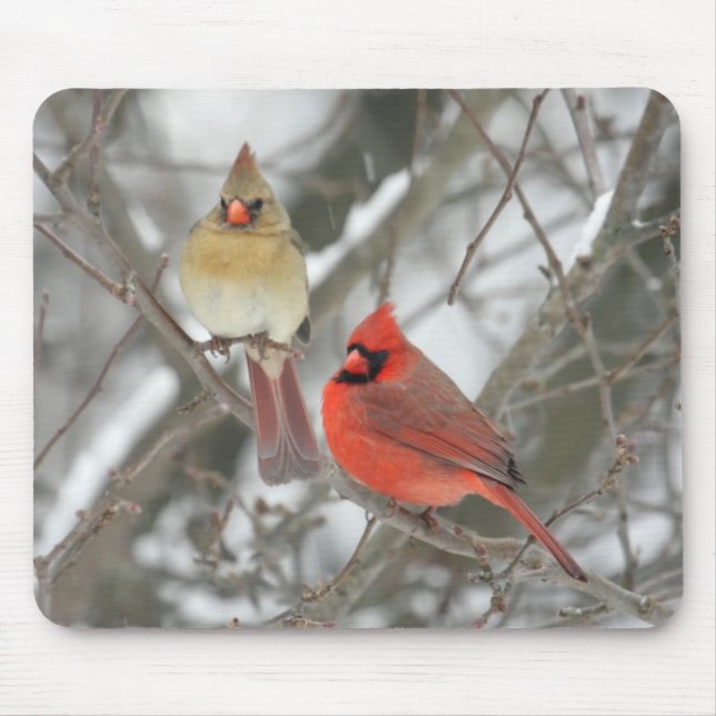 Pair Of Northern Cardinals Mouse Pad (Front)