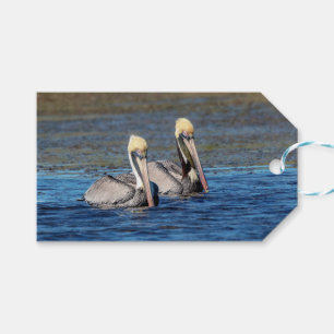 Pair of Pelicans Gift Tags