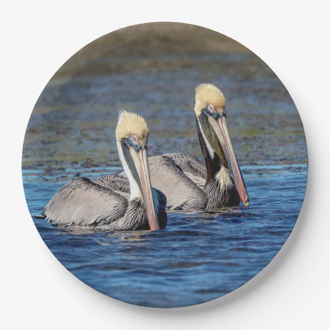 Pair of Pelicans Paper Plate (Front)