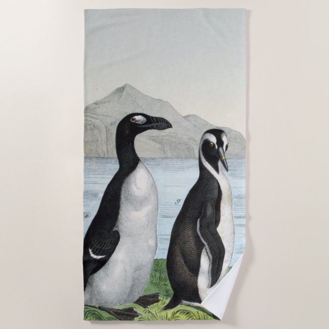 Pair Of Penguins -  Beach Towel (Front)