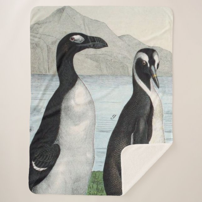 Pair Of Penguins -  Beach Towel Sherpa Blanket (Front)