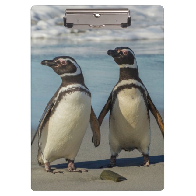 Pair of penguins on the beach clipboard (Front)