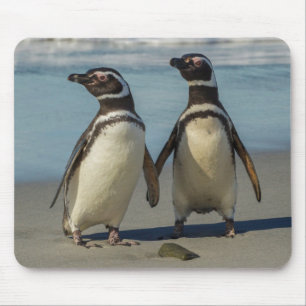 Pair of penguins on the beach mouse pad