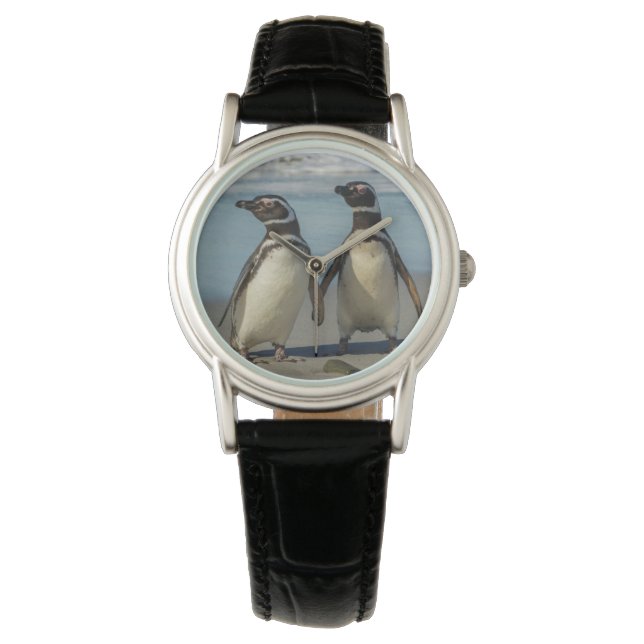 Pair of penguins on the beach watch (Front)