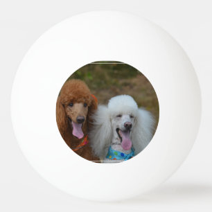 Pair of Poodles Ping Pong Ball