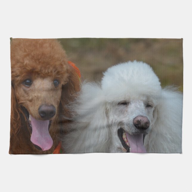Pair of Poodles Tea Towel (Horizontal)