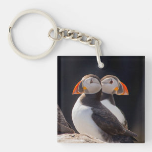Pair of Puffins Key Ring