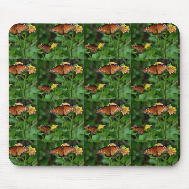Pair of Queen Butterflies Mouse Pad (Front)