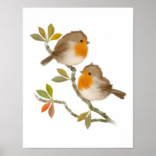 Pair of Robin Birds Poster Print