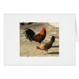 Pair Of Round Head Gamebirds