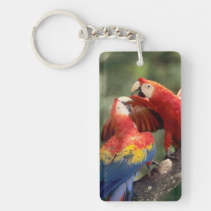 Pair of Scarlet Macaws Key Ring