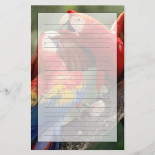 Pair of Scarlet Macaws Stationery