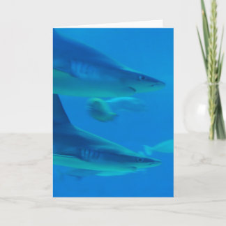 Pair of Sharks Note Cards
