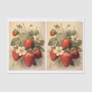 Pair of Strawberries and White Blossoms Art Tissue Paper