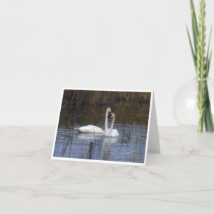 Pair of Swans ~ Birds of a Feather Thank You Card