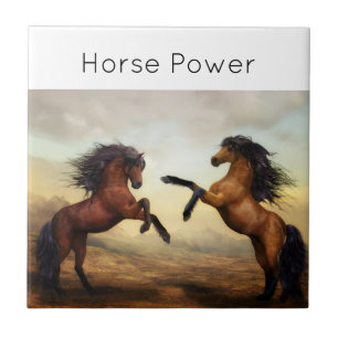 pair of wild horses tile