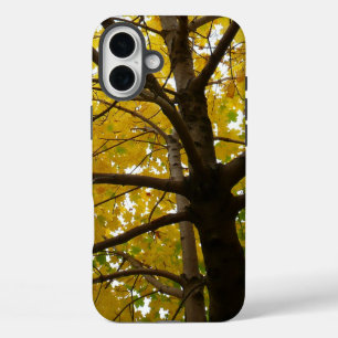 Pair of Yellow Maple Trees Autumn Nature iPhone 16 Plus Case