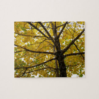 Pair of Yellow Maple Trees Autumn Nature Jigsaw Puzzle