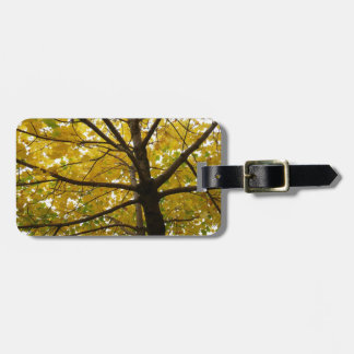 Pair of Yellow Maple Trees Autumn Nature Luggage Tag