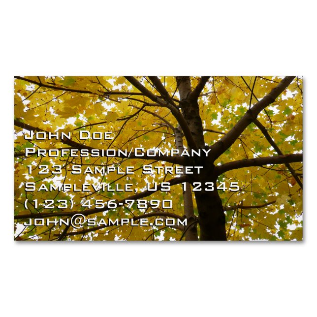 Pair of Yellow Maple Trees Autumn Nature Magnetic Business Card (Front)
