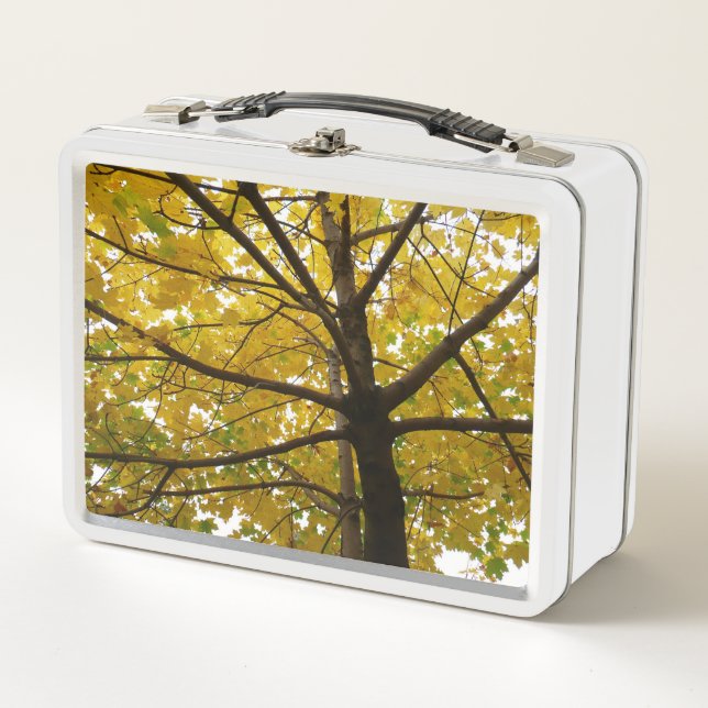 Pair of Yellow Maple Trees Autumn Nature Metal Lunch Box (Front)