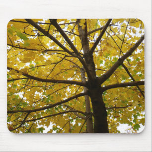 Pair of Yellow Maple Trees Autumn Nature Mouse Pad