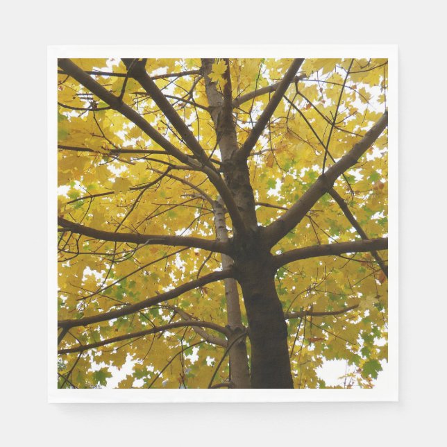 Pair of Yellow Maple Trees Autumn Nature Napkin (Front)