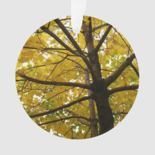 Pair of Yellow Maple Trees Autumn Nature Ornament