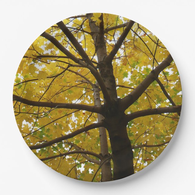 Pair of Yellow Maple Trees Autumn Nature Paper Plate (Front)