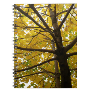 Pair of Yellow Maple Trees Autumn Nature Spiral Notebook