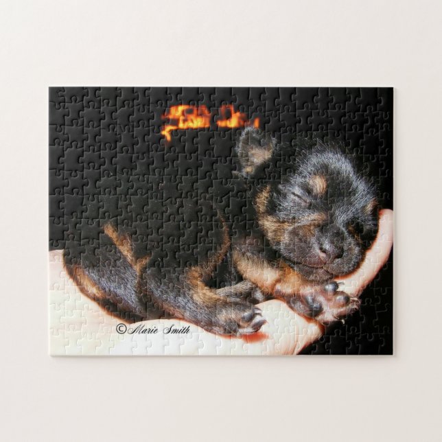 Paisley Marie 1 Jigsaw Puzzle (Horizontal)