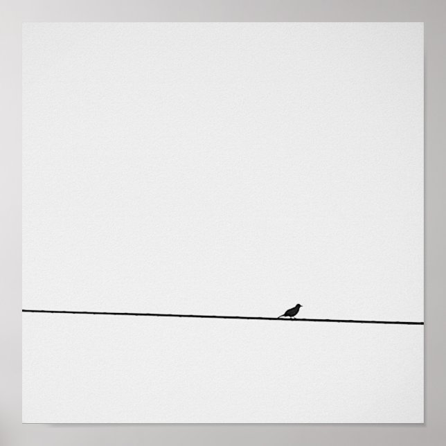 Pájaro posado en blanco y negro poster (Front)