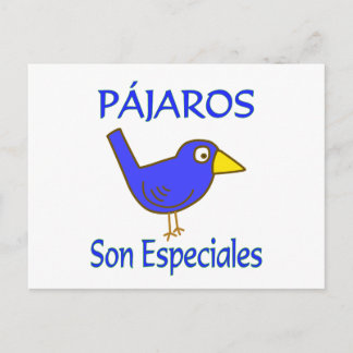 Pajaros Son Especiales Postcard