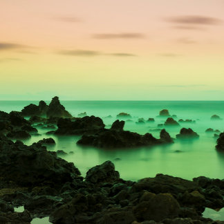 PAKE SALMON - HAWAIIAN FINE ART CALENDAR 2024