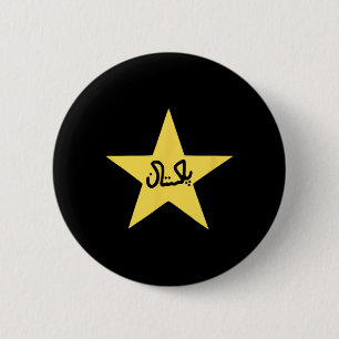 Pakistan Pakistani Flag Star Cricket Men's Womens  6 Cm Round Badge
