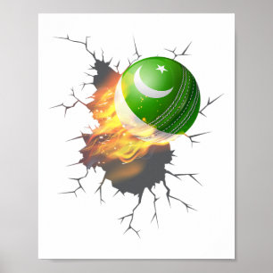 Pakistani Cricket Supporters Kit Gift Pakistan Cri Poster