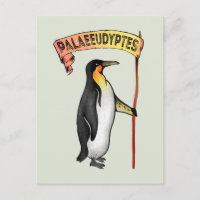 Palaeeudyptes Extinct Penguin