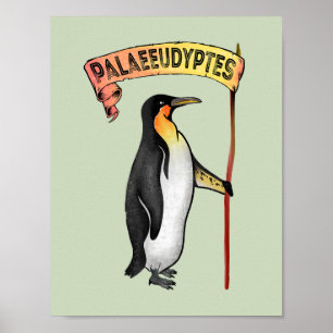 Palaeeudyptes Extinct Penguin Poster