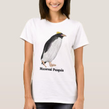 Palaeeudyptes Extinct Penguin