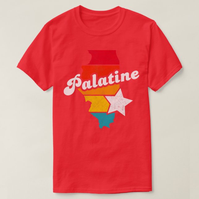 Palatine Illinois Vintage Distressed Souvenir 2 T-Shirt (Design Front)