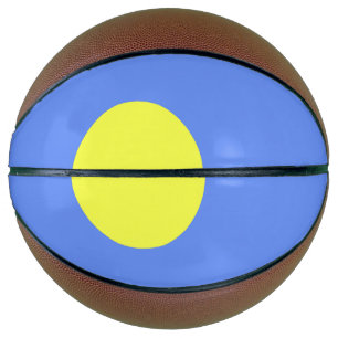Palau flag basketball